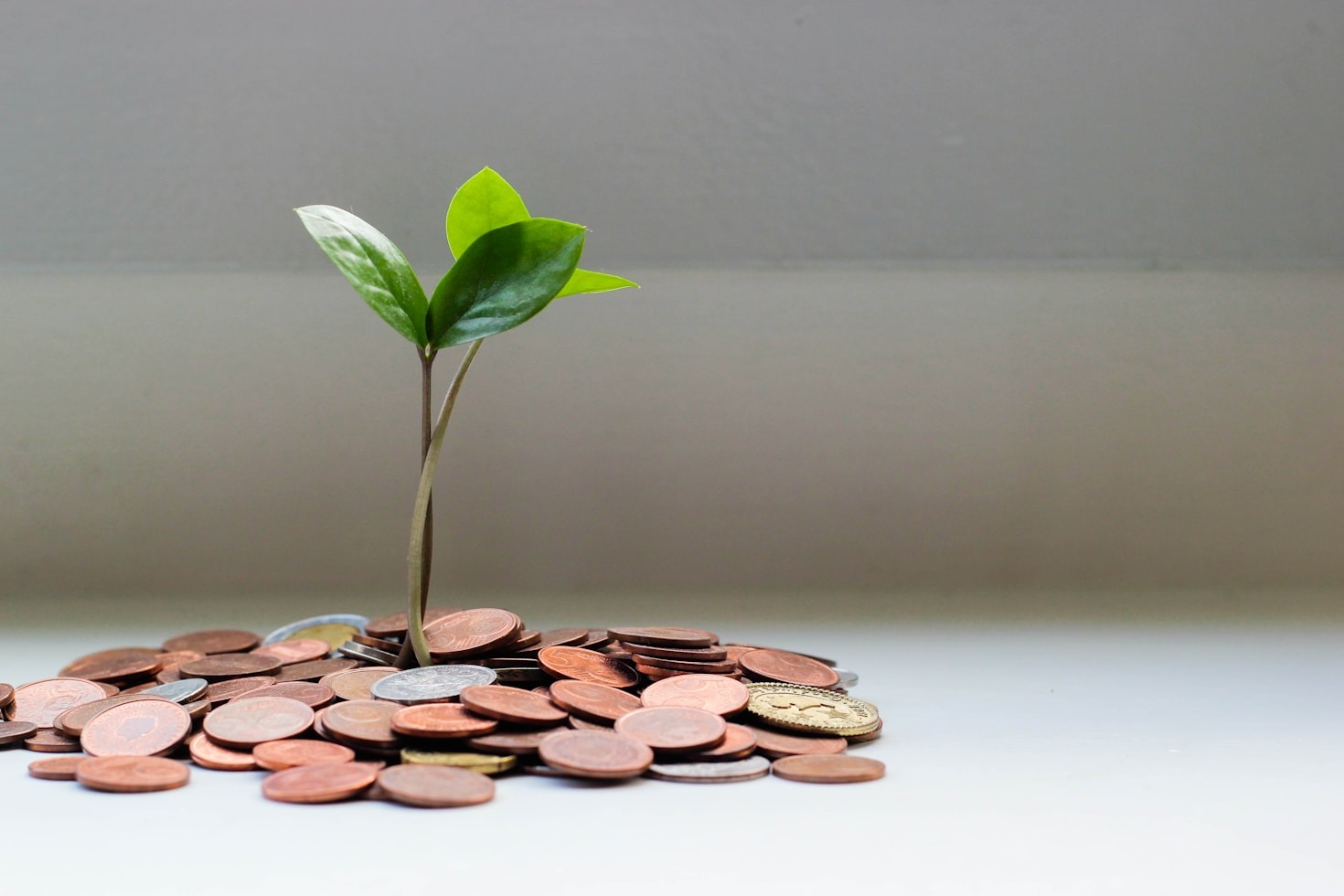 Como garantir segurança ao captar investimentos online